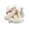 Milky Mushroom